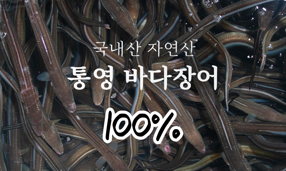 국내산 자연산 통영 바다장어 구이용 3kg (2미~5미) - 예스24
